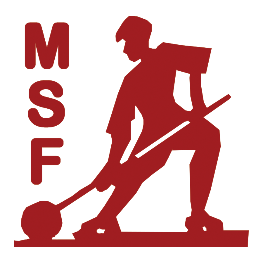 logo of Metal And Steel Factory Ishapore